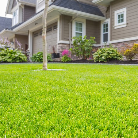 How Much Does It Cost To Hire A Cost Of Lawn Care Service?